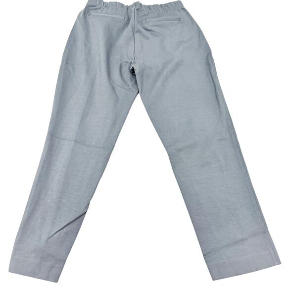 Everlane Sweat Seam Pleat Comfort Straight Leg Jogger Style Pant Size L - Picture 3 of 9